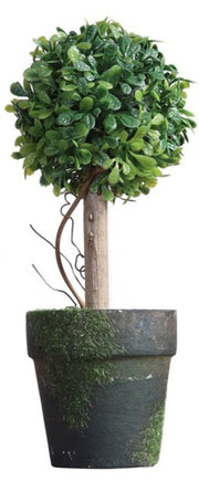 6"H Artificial Topiary in Pot